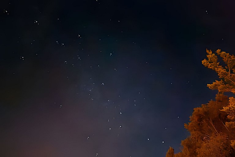 Casa completa en Carretera Austral KM 23.